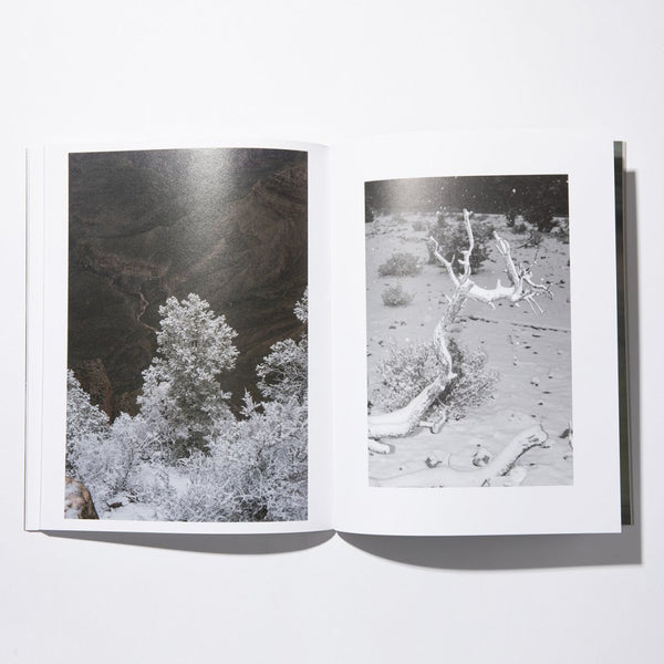 stacks Colin Sussingham ”Disappear Into Earth”