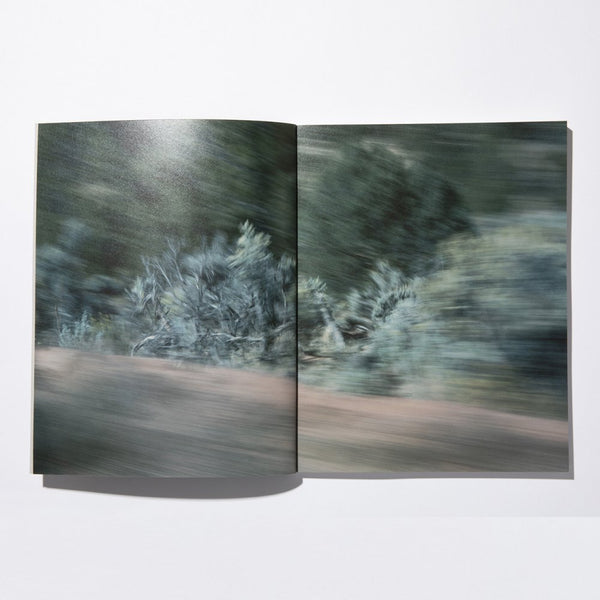 stacks Colin Sussingham ”Disappear Into Earth”