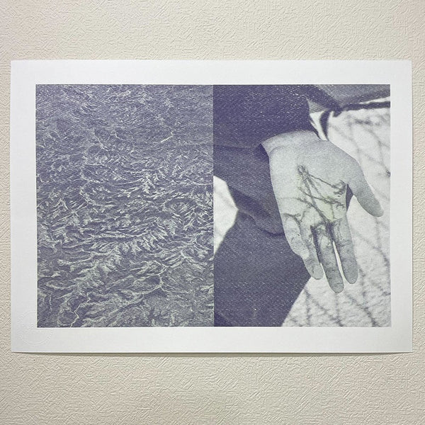 Risograph Designed by "Colin Sussingham"