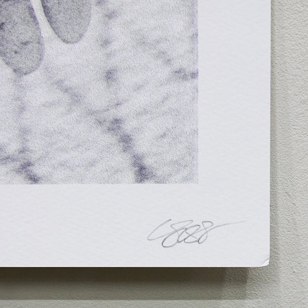 Risograph Designed by "Colin Sussingham"
