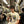 Paradise NYC Holy - Live Through Death S/S Tee