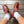 MLAL for DLCS Ankle Socks