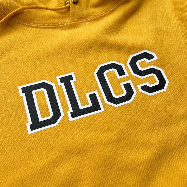 Delicious DLCS Logo Hoodie